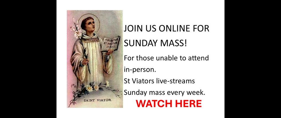 Mass live stream